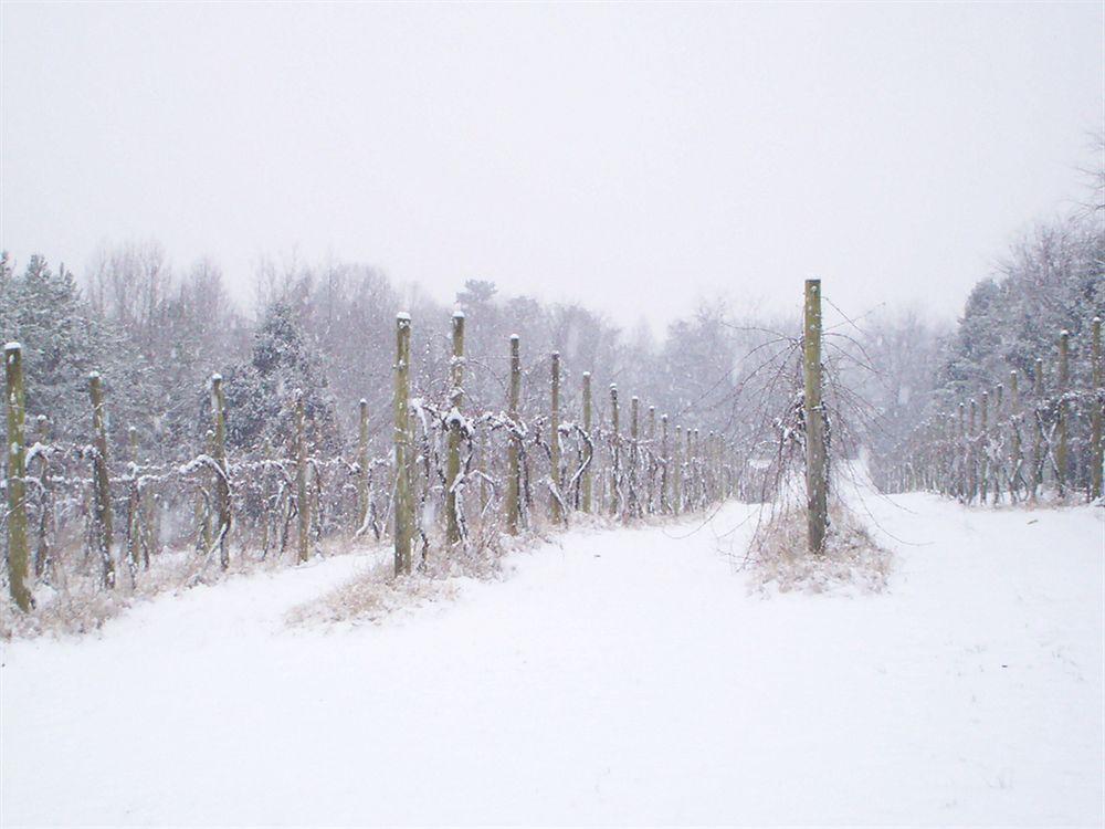 High Meadows Vineyard Inn Scottsville 外观 照片